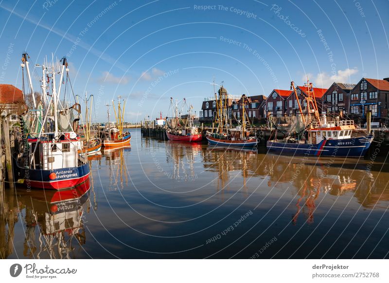 Fishing port on the North Sea coast Wide angle Deep depth of field Sunbeam Sunlight Reflection Contrast Shadow Copy Space left Copy Space bottom Copy Space top