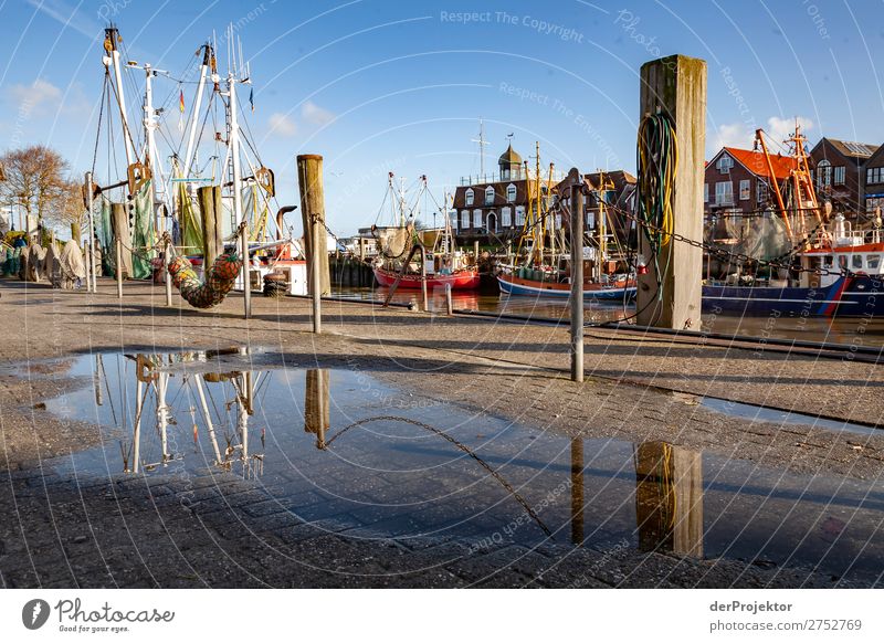 Fishing port on the North Sea coast II Wide angle Deep depth of field Sunbeam Sunlight Reflection Contrast Shadow Copy Space left Copy Space bottom