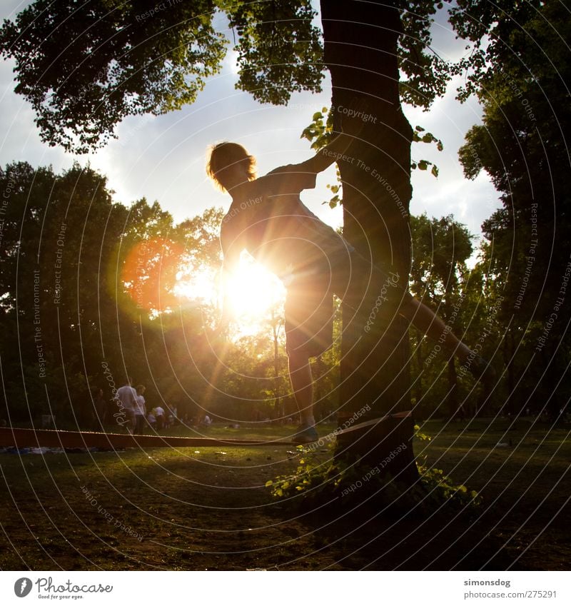 berlin slacking Leisure and hobbies Sports Human being Young man Youth (Young adults) Life 1 Nature Summer Sun Tree Park Meadow Illuminate Calm Ease slackliner