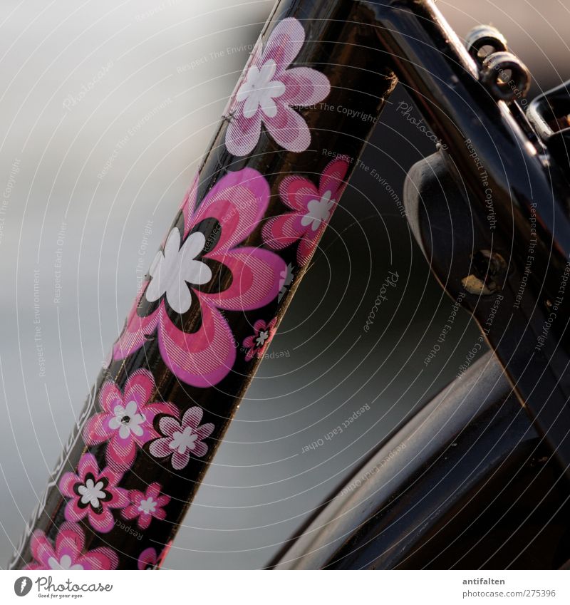 beautiful bicycle Leisure and hobbies Cycling Bicycle Label Flowery pattern Metal Steel Rust Plastic Hip & trendy Beautiful Uniqueness Positive Pink Black Joy