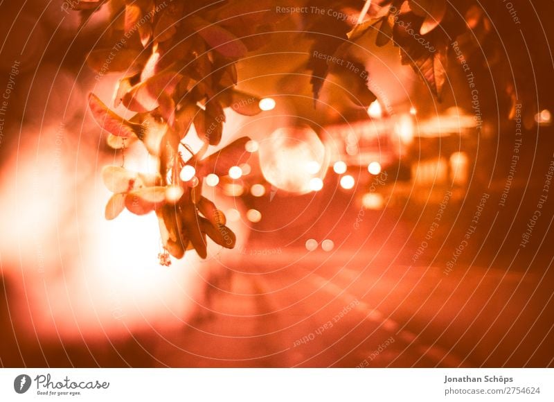 abstract multiple exposure with lights Leaf Street Pink Color of the year colour trends Background picture Living Coral Pantone Colour Pantone Color of the Year