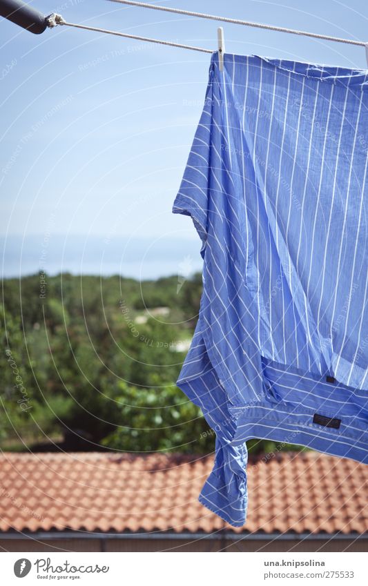 Make blue Sky Ocean Roof Fashion Shirt Cloth Hang Fresh Blue Clothesline Dry Striped Vacation & Travel Laundry Washing Colour photo Subdued colour Exterior shot
