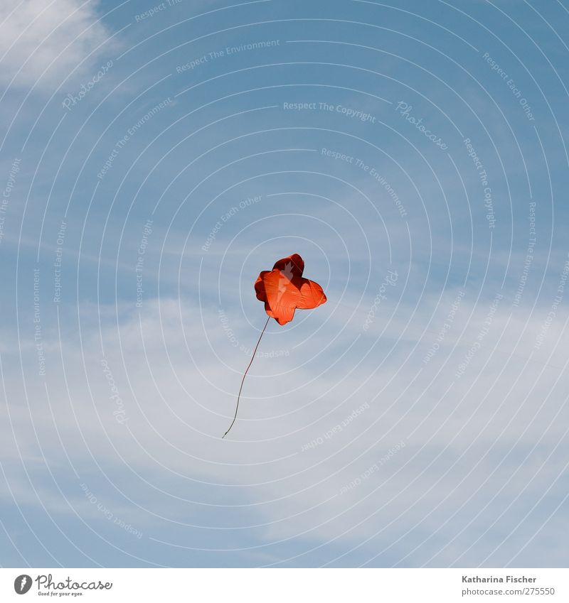 Red flower in heaven Environment Air Sky Clouds Spring Summer Autumn Winter Beautiful weather Flying Blue White Hang gliding Colour photo Exterior shot Deserted