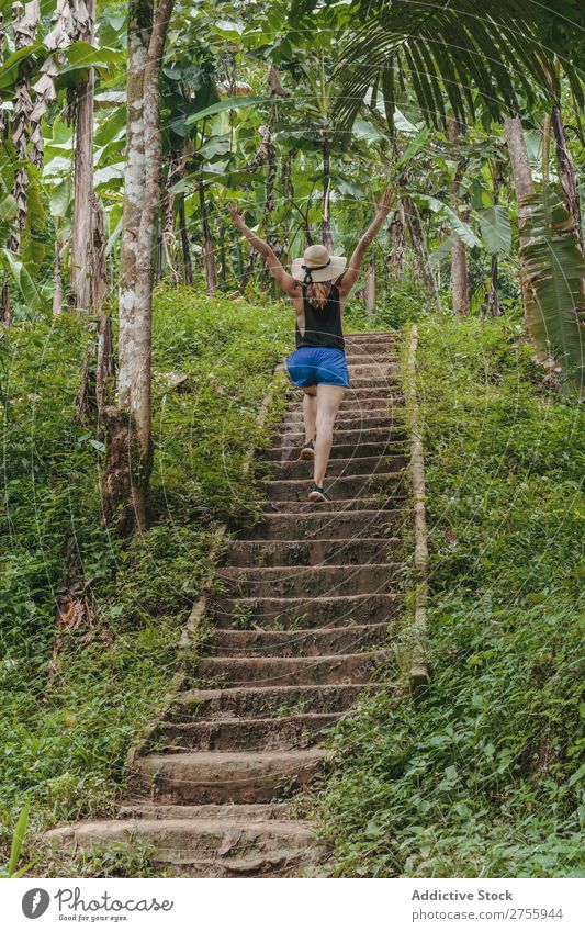 Woman climbing stairs in the forest Stairs Lanes & trails Nature tropic Forest Tropical Virgin forest Green Tree Natural Landscape Environment Vacation & Travel