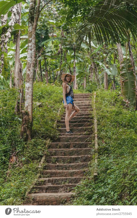 Woman climbing stairs in the forest Stairs Lanes & trails Nature tropic Forest Tropical Virgin forest Green Tree Natural Landscape Environment Vacation & Travel