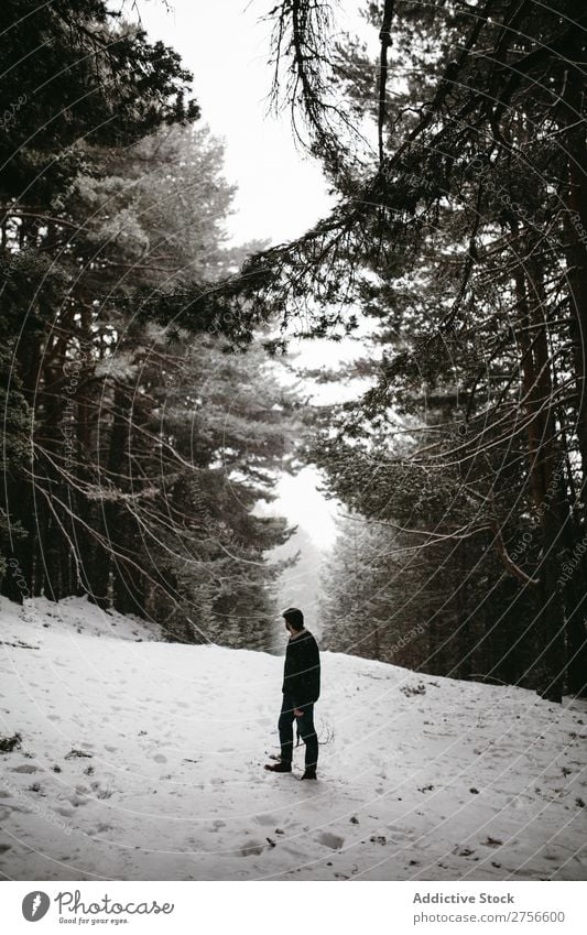 Tourist standing in snowy forest Man backpacker Street Stand Winter Forest Nature Snow Cold Frost Seasons Landscape White Beautiful Rural Frozen