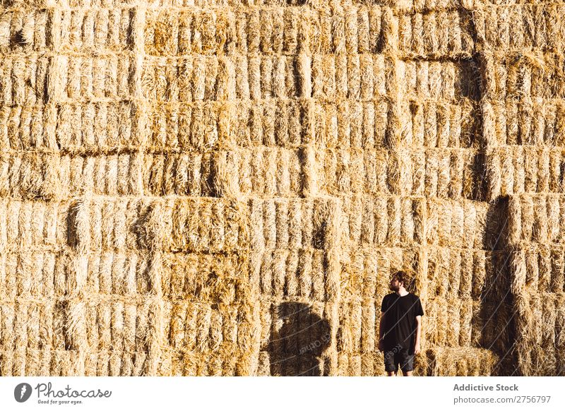 Man in front of wall of haystacks Wall (building) Hay Human being Background picture Haystack bunch Dry Straw Agriculture Bale of straw Nature Wheat Yellow