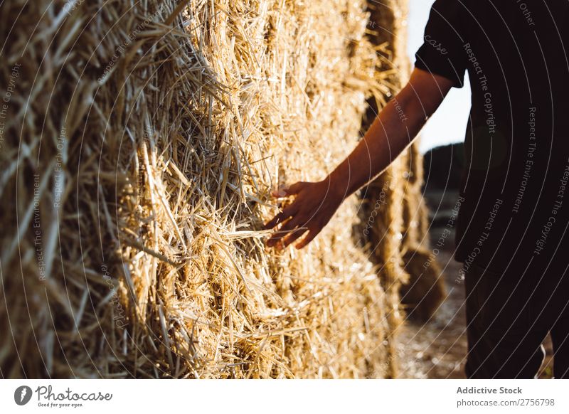 Man touching haystacks Hay Human being Background picture Haystack bunch Dry Straw Agriculture Bale of straw Nature Wheat Yellow Stack Harvest Grass Seasons