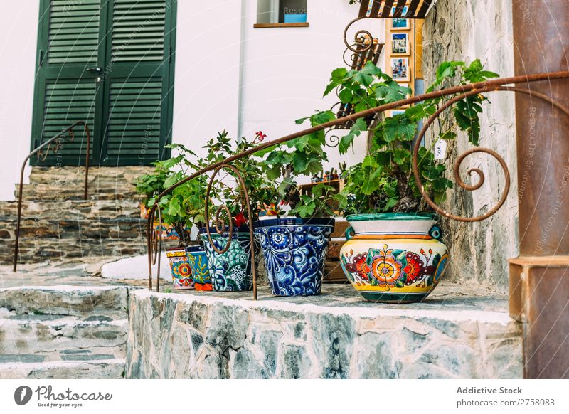 Rustic flower pots in Cadaques, Spain mediterranean house garden decoration spain beautiful wall street white village building europe background home exterior