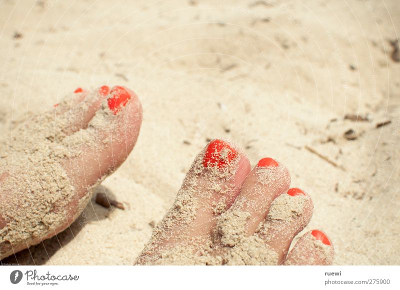 Sand in the shoot Skin Nail polish Vacation & Travel Summer Summer vacation Sunbathing Beach Human being Feminine Woman Adults Feet Toes Toenail 1