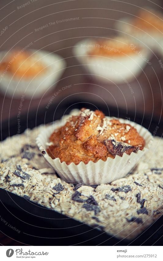 bread Grain Dough Baked goods Roll Cake Dessert Nutrition Slow food Finger food Delicious Cereal Oat flakes Muffin Colour photo Interior shot Close-up Deserted