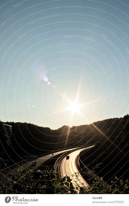 Drive into the sun Nature Landscape Sun Summer Tree Forest Manmade structures Traffic infrastructure Motoring Street Highway Bridge Vehicle Car Hot Bright
