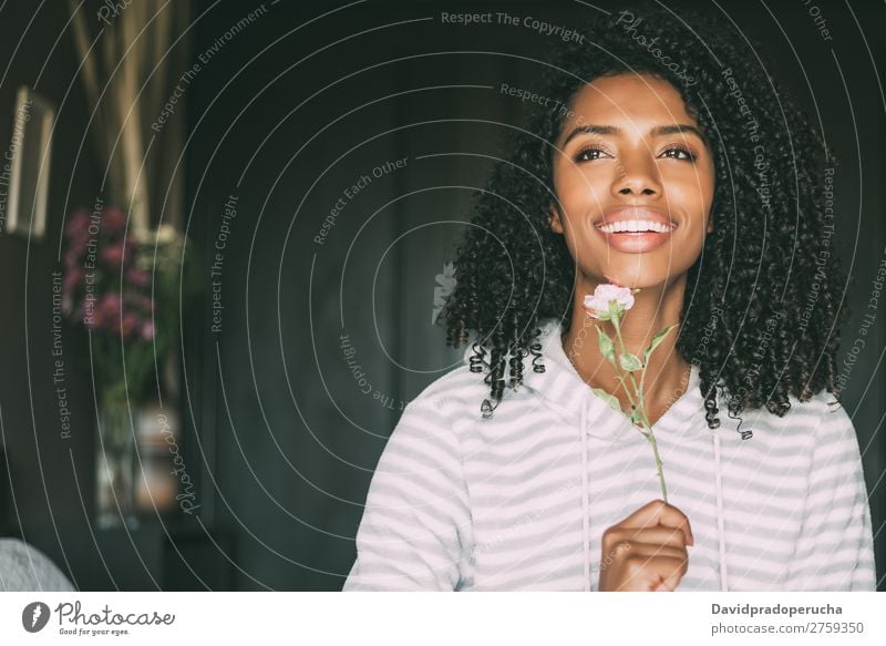 close up of a pretty black woman with curly hair smiling with a rose flower sit on bed looking away Woman Bed Portrait photograph Close-up Lie (Untruth) Black