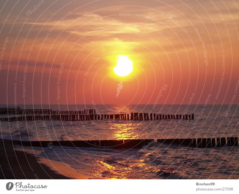 Sun goes to sleep Ocean Beach Sunset Kühlungsborn Water Baltic Sea Evening Vantage point Sand