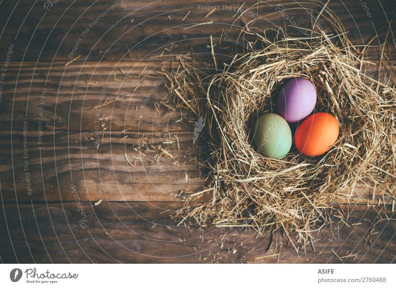 Easter eggs in hay nest on a rustic wooden background Joy Happy Hunting Decoration Feasts & Celebrations Grass Wood Dark Funny Green Colour Tradition Egg