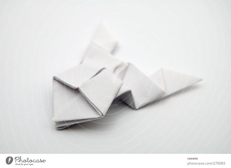 paper frog Leisure and hobbies Handcrafts Paper Toys White Folded Origami Close-up Deserted Neutral Background Shallow depth of field Isolated Image