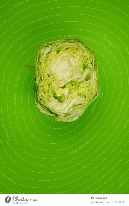 #AJ# Lettuce head Art Esthetic Salad Salad leaf head of lettuce Green Vegetarian diet Healthy Eating Colour photo Multicoloured Exterior shot Studio shot