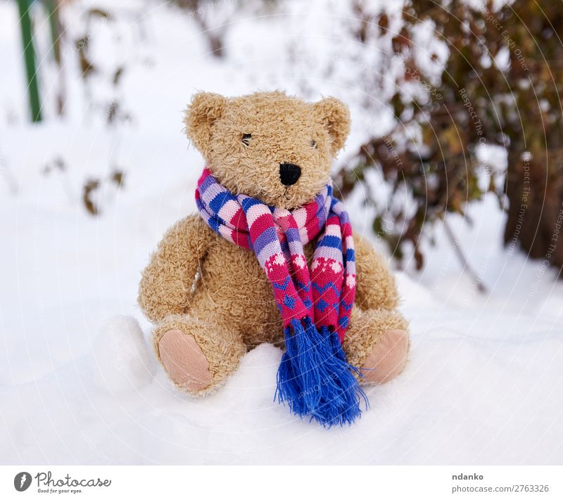 old teddy bear in a scarf sits on white snow Winter Snow Child Nature Weather Park Toys Doll Teddy bear Old Sit Small Cute Soft Brown White Love Loneliness Bear