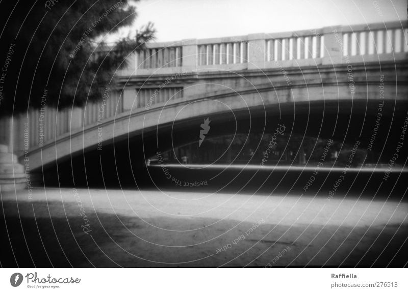 Valencia, riverbed of Turia Plant Tree Park Meadow River bank Bridge Tunnel Old Gravel bed Footpath Black & white photo Exterior shot Deserted Day