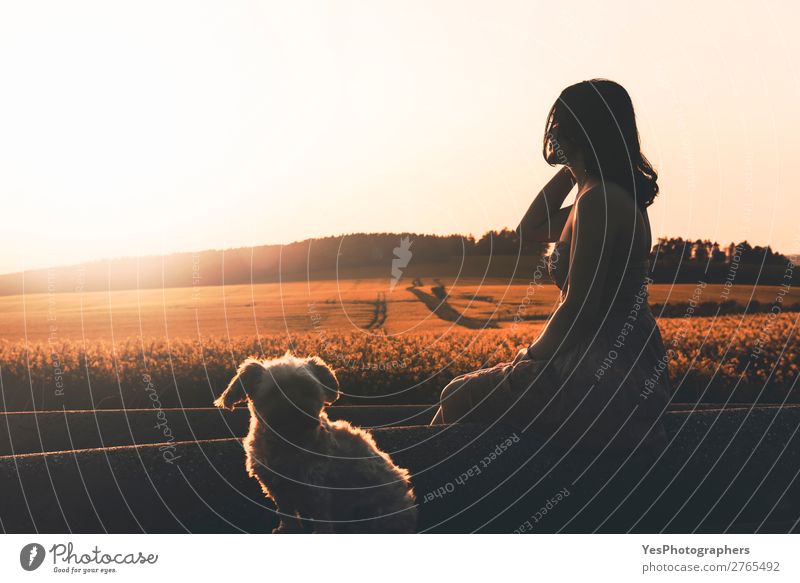 Woman silhouette and dog enjoying sunset in nature Lifestyle Happy Relaxation Summer Success Adults Nature Landscape Dress Pet Dog Sit Happiness Bright