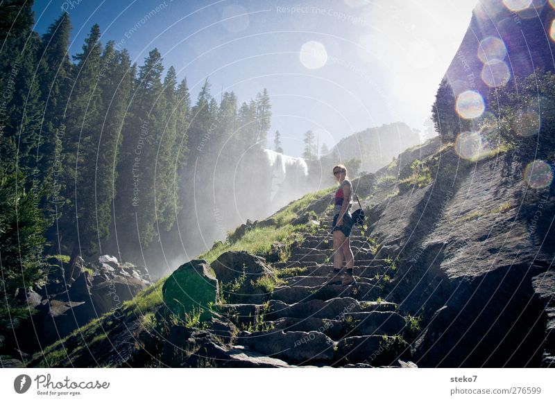 misty trail Human being Young woman Youth (Young adults) 1 18 - 30 years Adults Cloudless sky Sunlight Summer Beautiful weather Fog Forest Rock Waterfall Stairs