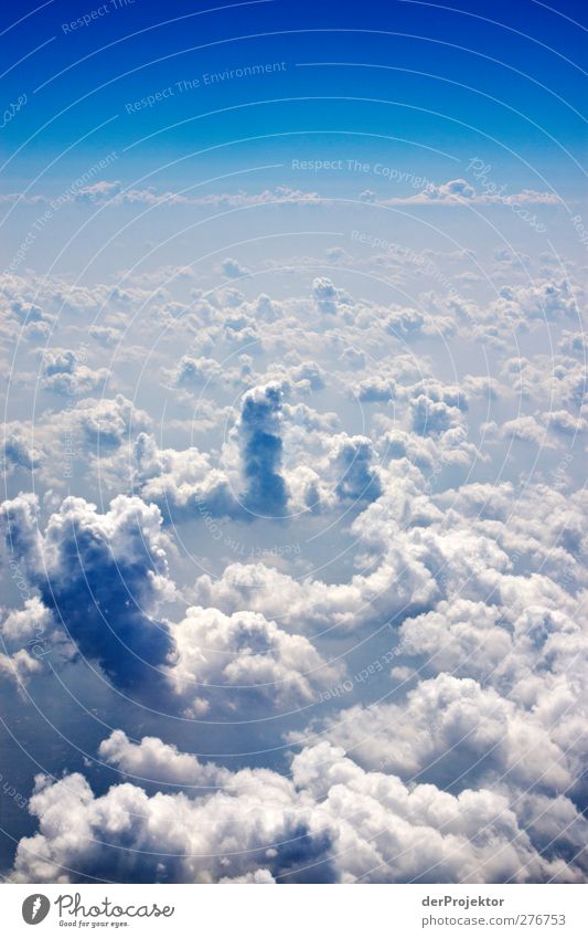 cheerful to cloudy Environment Elements Air Sky Clouds Spring Beautiful weather Aviation Airplane Passenger plane Esthetic Exceptional Gigantic Large Blue
