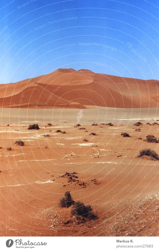Sossusvlei Namibia Dry Physics Hot Red Loneliness Calm Munich Desert Namib desert Sand Beach dune Thirst Warmth Sparse