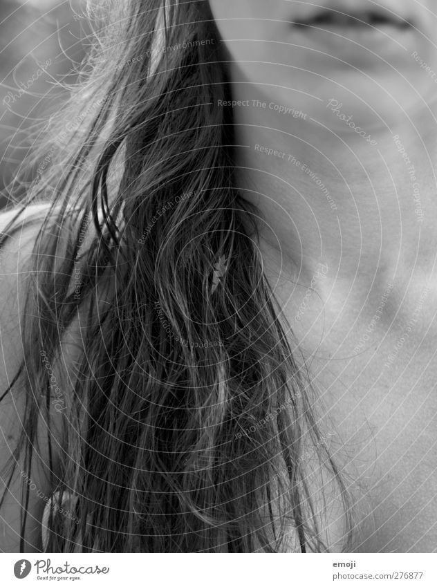 near Feminine 1 Human being Hair and hairstyles Beautiful Detail of face Long-haired Dark-haired Partially visible Woman`s neck Woman's chin 1 Person Individual
