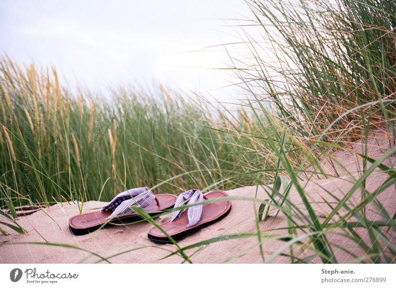 Lonely shoes Sand Sky Clouds Grass Marram grass Beach dune North Sea Baltic Sea Fashion Footwear Flip-flops Discover Relaxation To enjoy Crouch Lie Sleep Stand