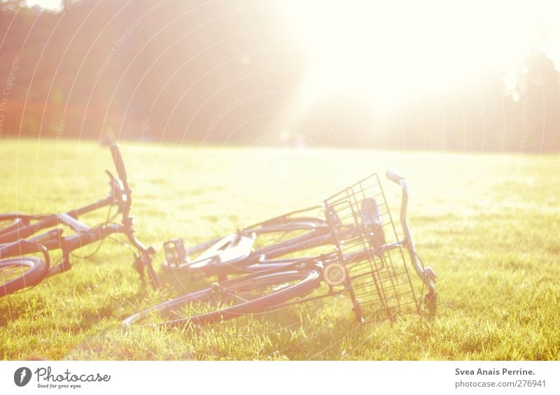 sunday park! Nature Beautiful weather Grass Park Meadow Bicycle Lie Bright Warmth Colour photo Exterior shot Deserted Light Light (Natural Phenomenon) Sunlight