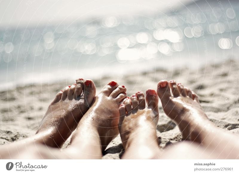it glitters. Relaxation Calm Summer Summer vacation Sun Beach Ocean Youth (Young adults) Life Feet Toes 2 Human being To enjoy Lie Blue Contentment Serene