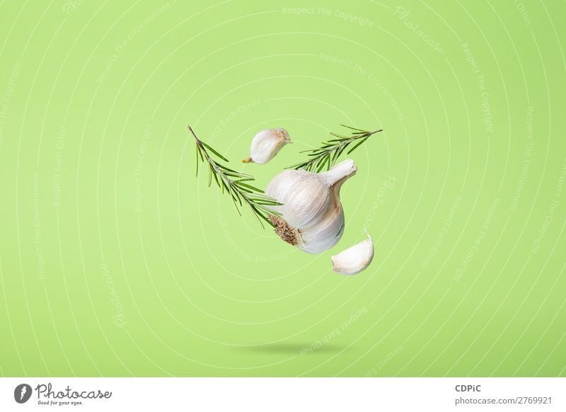 Flying Rosemary and Garlic on Green Background Abstract Food Design Background picture Beautiful Close-up Colour Fitness Food photograph Fresh Healthy