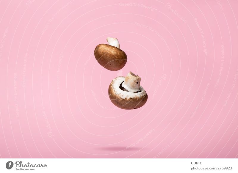 Flying Mushroom Abstract Food on Pink Background Vegetable Eating To fall Brown Colour photo Interior shot Studio shot Deserted Light Wide angle