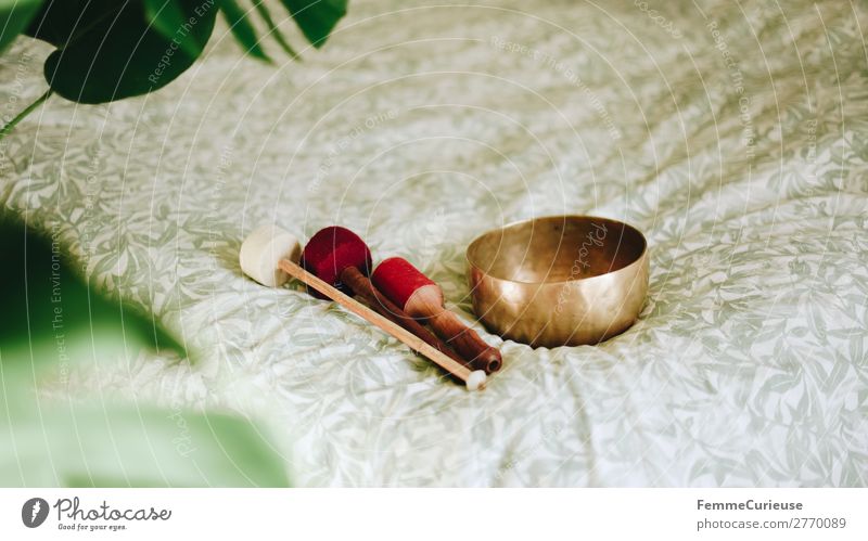 Singing bowl in a cozy home Healthy Harmonious Well-being Contentment Senses Relaxation Calm Meditation Living or residing Attentive singing bowl Bowl Sound