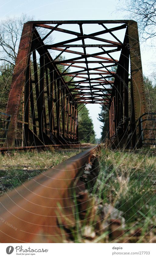 Old Railway Bridge Railway bridge Railroad bridge Forest Loneliness