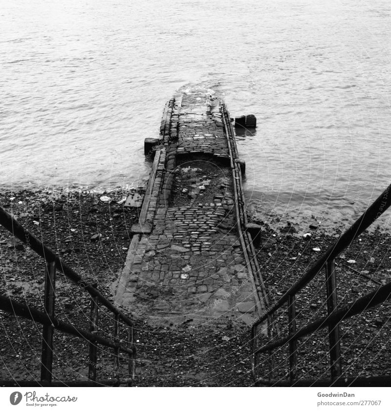 Thames. Environment Nature River Themse London Town Stairs Old Authentic Infinity Gloomy Dry Moody Black & white photo Exterior shot Deserted Day