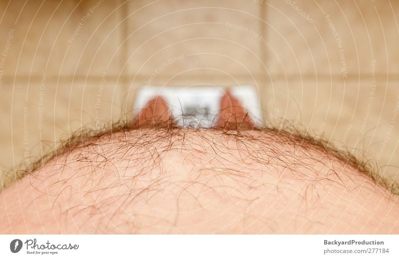 Close up of stomach of large hairy caucasian man Overweight 1 Person Individual Only one man Stomach Hair Scale Weigh Fat Abdomen Section of image