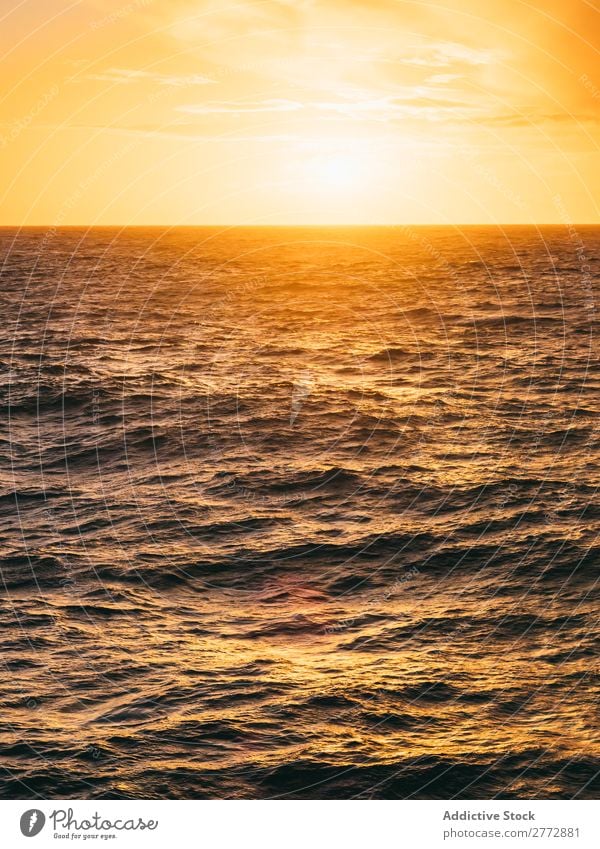 Bright sunlight above rough sea Ocean Rough Sunrise Sunlight Panorama (Format) Water Background picture Landscape Gold Horizon Morning Paradise tranquil Seasons