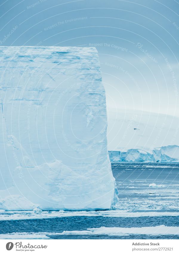 Wall of glacier in sea Glacier Wall (building) Ice Penguin Ocean Iceberg Landscape Dramatic Environment huge Beauty Photography Water polar North The Arctic