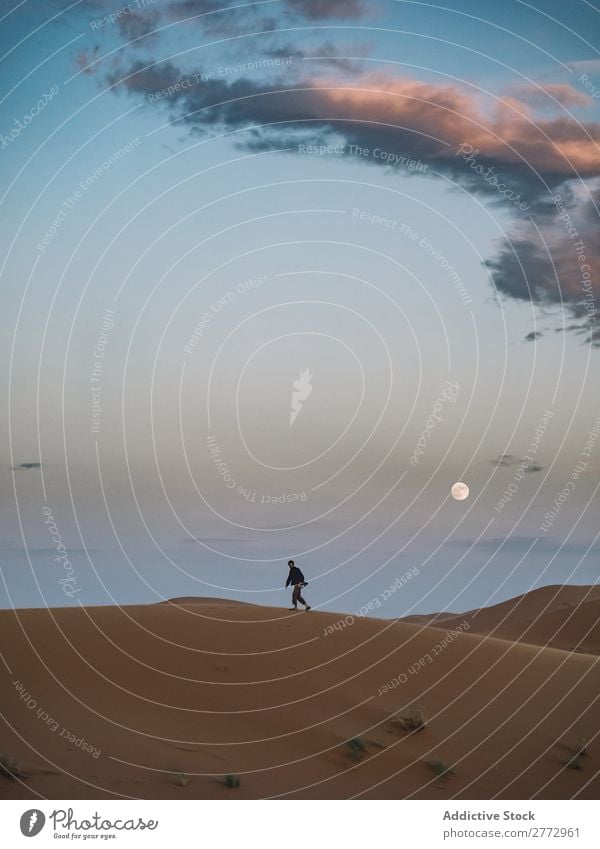 Anonymous person walking in desert Human being Desert Remote traveler Sand Tourism Moon Walking Adventure Silhouette Tourist Landscape Nature Vacation & Travel