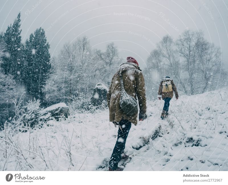 People climbing hill in snow Human being Hill Snowfall travelers Tourism Nature Winter Freedom Landscape exploration Weather Fresh trekking explorers Natural