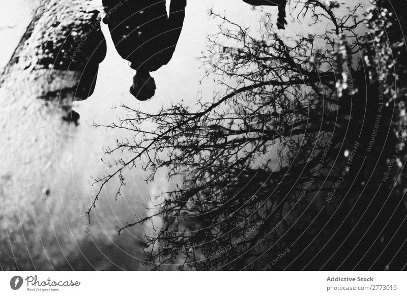 People and tree mirrored in puddle Human being Puddle Conceptual design Tree Black & white photo Mirror Silhouette Water Walking Asphalt Story Concrete Action