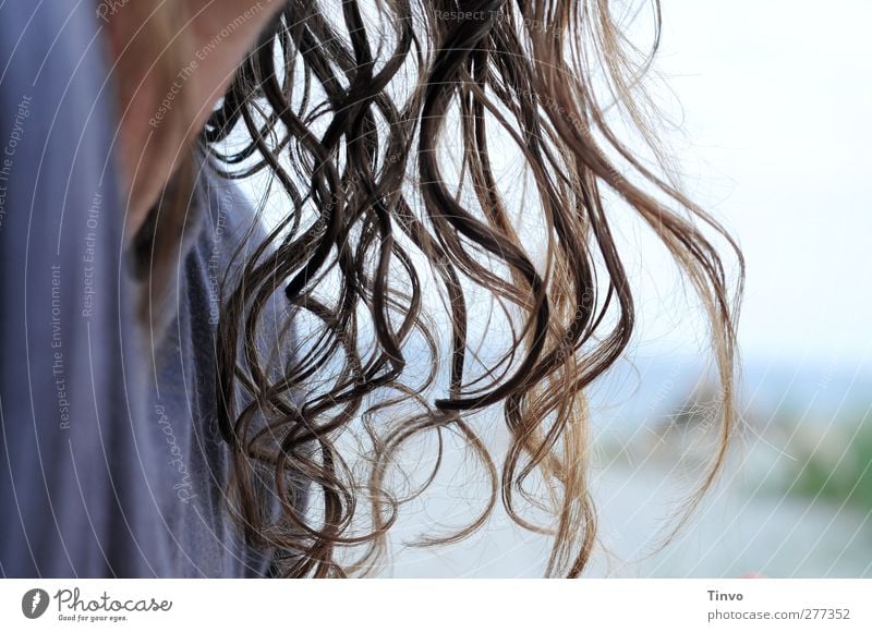 Long slightly wavy wet hair 1 Human being Hair and hairstyles Brunette Long-haired Curl Fresh naturally Blue Dry Blow Suspended Undulating Damp Colour photo