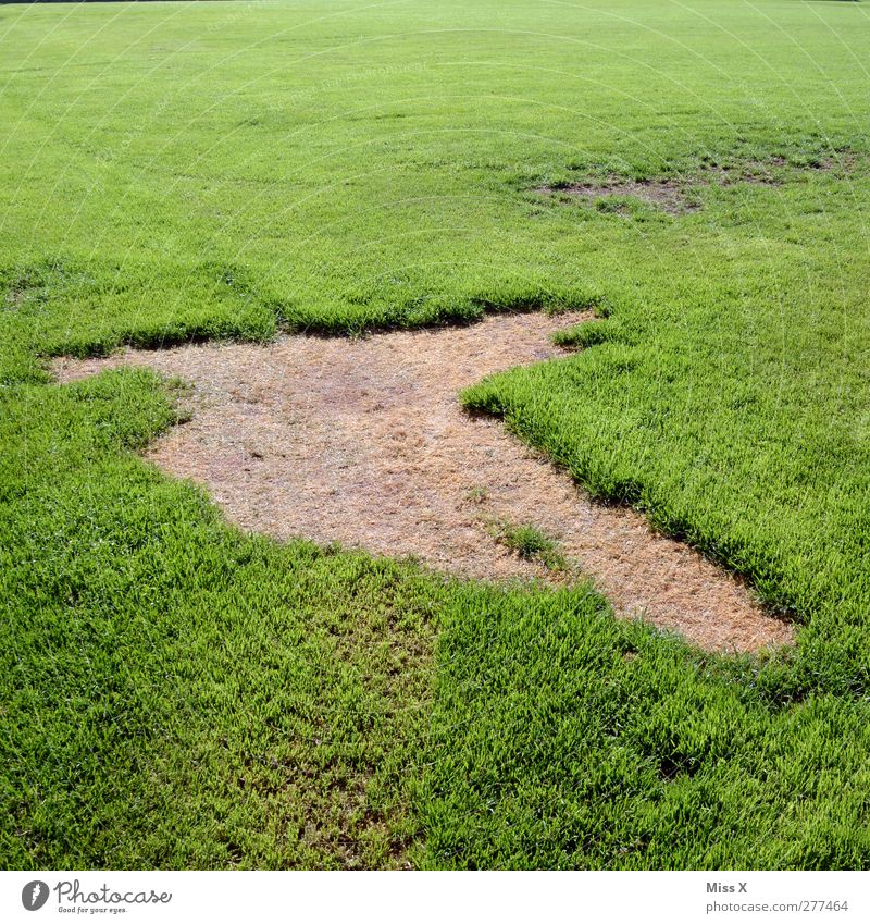 grass stain Football pitch Nature Grass Meadow Broken Green Hollow Grass surface Colour photo Exterior shot Pattern Deserted
