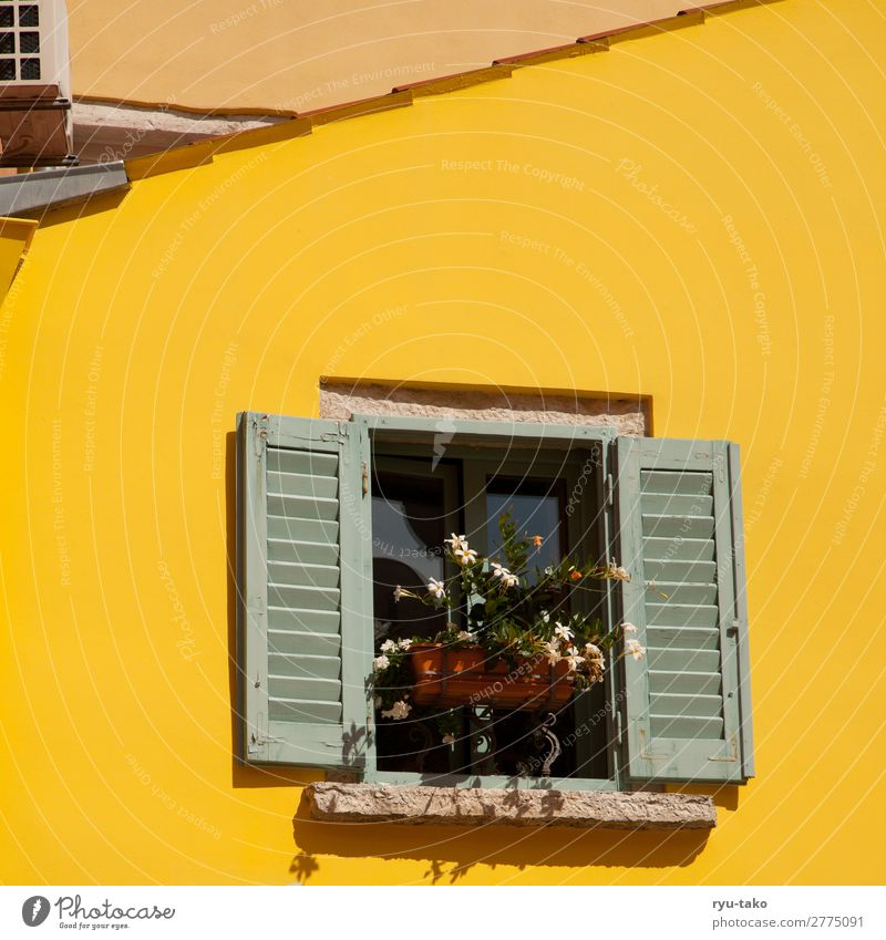 Yellow house with window House (Residential Structure) Sun Window Shutter Summer flowers Pitch of the roof Vacation mood vacation Window box warm detail