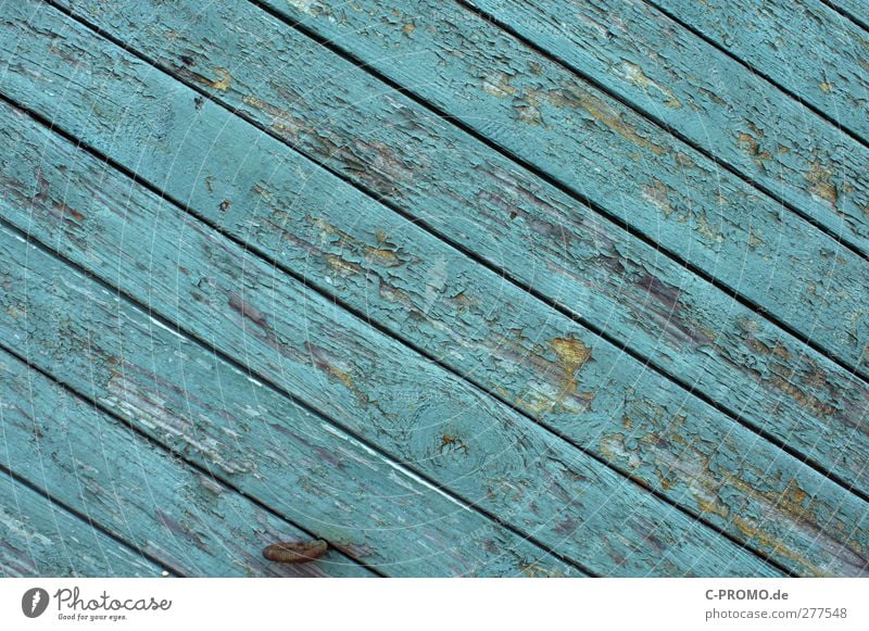 Industrial paint vs. wind&weather Facade Old Wooden board Turquoise Weathered Varnish Diagonal lattice fence Wooden wall Colour photo Exterior shot Deserted