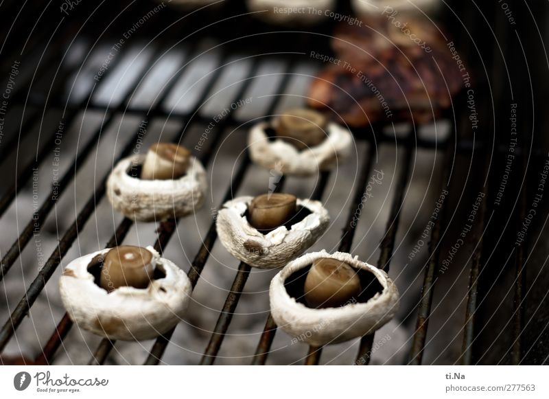 grill mushrooms Vegetable Mushroom Button mushroom Picnic Vegetarian diet Fresh Healthy Brown Gray Black Silver White Barbecue (event) Grill Charcoal (cooking)