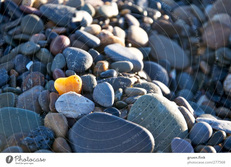 Heart of stone Beach Coast Stone Yellow Gray Colour photo Exterior shot Close-up Shallow depth of field