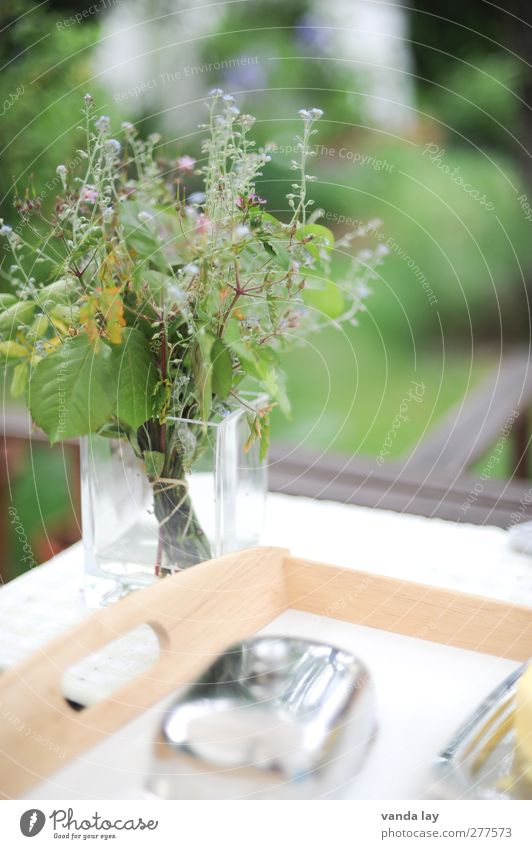 breakfast Plant Green Tray Vase Bouquet butter can Colour photo Exterior shot Deserted Copy Space top Blur
