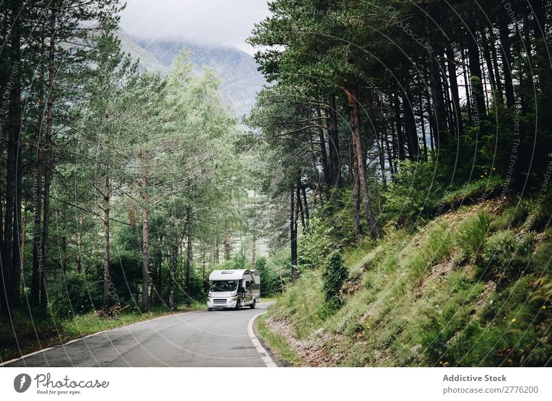 Truck driving on forest road Street Forest Transport Vehicle Car Landscape freight trucking Drive Trailer Wood Tree Nature Ride Asphalt way Hill Mountain